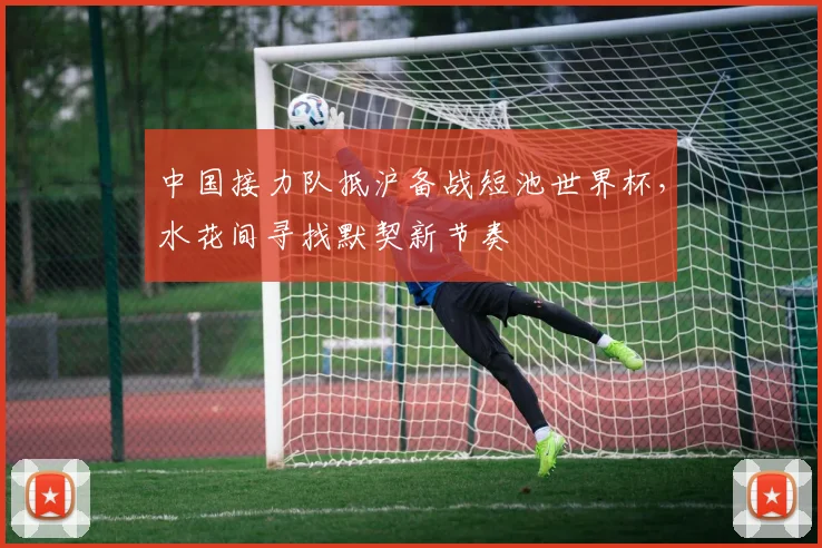 中国接力队抵沪备战短池世界杯，水花间寻找默契新节奏