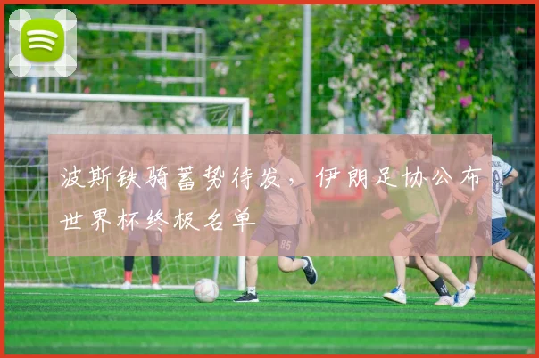 波斯铁骑蓄势待发,伊朗足协公布世界杯终极名单