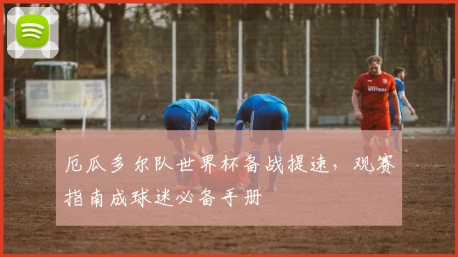 厄瓜多尔队世界杯备战提速，观赛指南成球迷必备手册