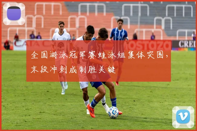 全国游泳冠军赛蛙泳组集体突围,末段冲刺成制胜关键